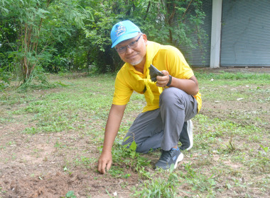 กิจกรรมปลูกต้นไม้เฉลิมพระเกียรติพระบาทสมเด็จพระเจ้าอยู่หัว ... พารามิเตอร์รูปภาพ 13