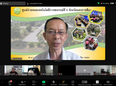 การใช้งานโปรแกรม Canva Version Free ... พารามิเตอร์รูปภาพ 2