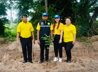 โครงการอาสาสมัครสหกรณ์ กิจกรรมพัฒนาอาสาสมัครสหกรณ์ ... พารามิเตอร์รูปภาพ 31