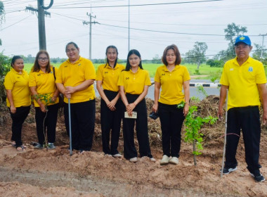 โครงการอาสาสมัครสหกรณ์ กิจกรรมพัฒนาอาสาสมัครสหกรณ์ ... พารามิเตอร์รูปภาพ 32