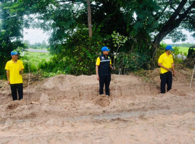 โครงการอาสาสมัครสหกรณ์ กิจกรรมพัฒนาอาสาสมัครสหกรณ์ ... พารามิเตอร์รูปภาพ 19