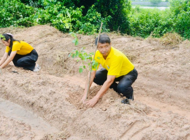 โครงการอาสาสมัครสหกรณ์ กิจกรรมพัฒนาอาสาสมัครสหกรณ์ ... พารามิเตอร์รูปภาพ 22