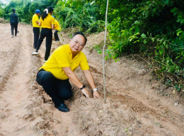 โครงการอาสาสมัครสหกรณ์ กิจกรรมพัฒนาอาสาสมัครสหกรณ์ ... พารามิเตอร์รูปภาพ 23