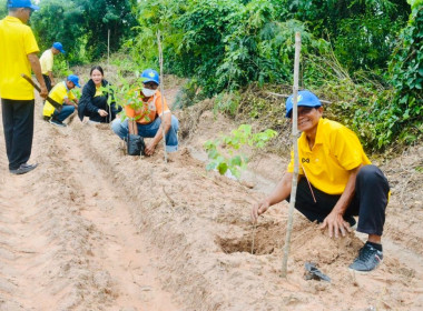 โครงการอาสาสมัครสหกรณ์ กิจกรรมพัฒนาอาสาสมัครสหกรณ์ ... พารามิเตอร์รูปภาพ 28