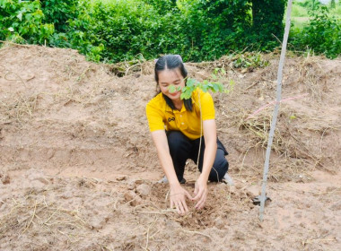 โครงการอาสาสมัครสหกรณ์ กิจกรรมพัฒนาอาสาสมัครสหกรณ์ ... พารามิเตอร์รูปภาพ 26