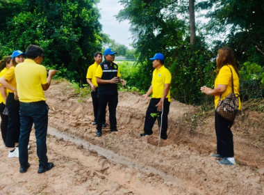 โครงการอาสาสมัครสหกรณ์ กิจกรรมพัฒนาอาสาสมัครสหกรณ์ ... พารามิเตอร์รูปภาพ 18