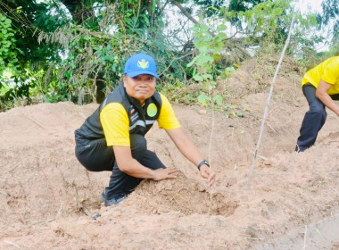 โครงการอาสาสมัครสหกรณ์ กิจกรรมพัฒนาอาสาสมัครสหกรณ์ ... พารามิเตอร์รูปภาพ 21