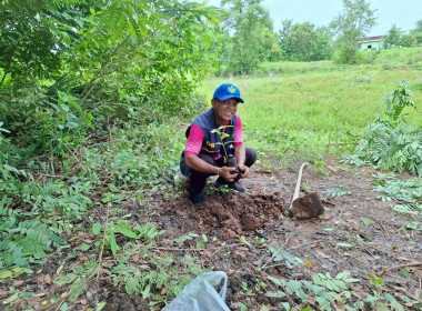 โครงการอาสาสมัครสหกรณ์ กิจกรรมพัฒนาอาสาสมัครสหกรณ์ ... พารามิเตอร์รูปภาพ 2
