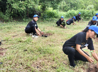 โครงการอาสาสมัครสหกรณ์ กิจกรรมพัฒนาอาสาสมัครสหกรณ์ ณ ... พารามิเตอร์รูปภาพ 8